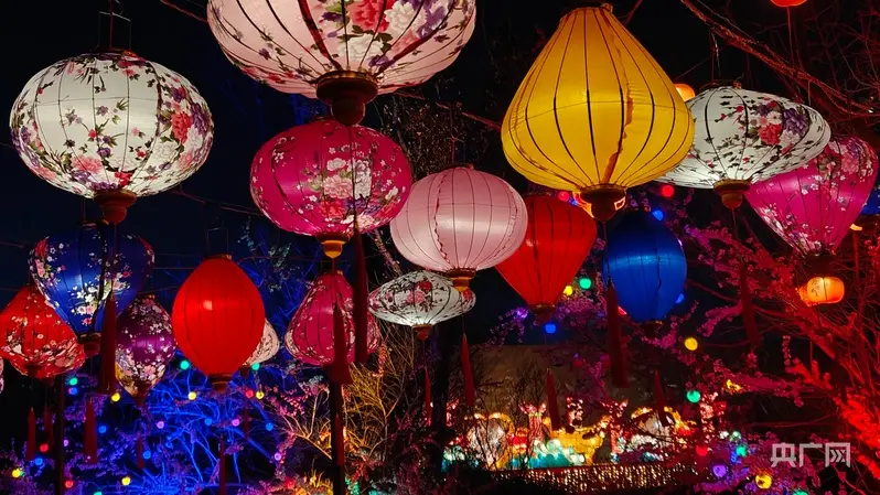 _跟着镜头游龙江丨逐光元宵夜 花灯赴春约_跟着镜头游龙江丨逐光元宵夜 花灯赴春约