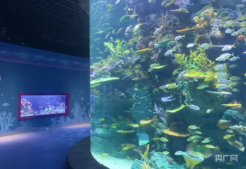 成都成华文旅融合再添新地标 熊猫海洋公园即将开园