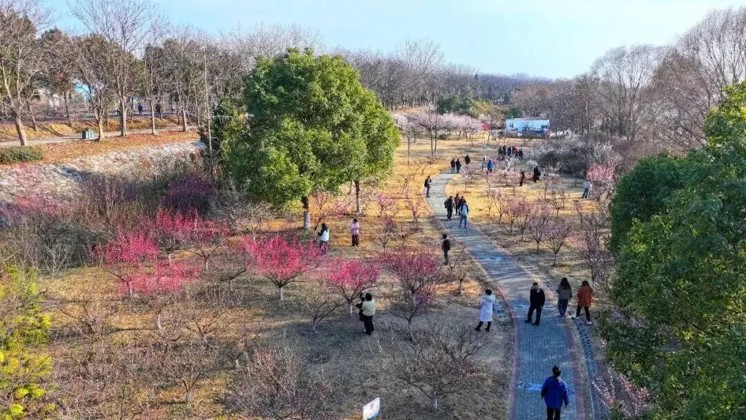 一立方沙子可以砌多少块砖__安利净化器传感器在哪