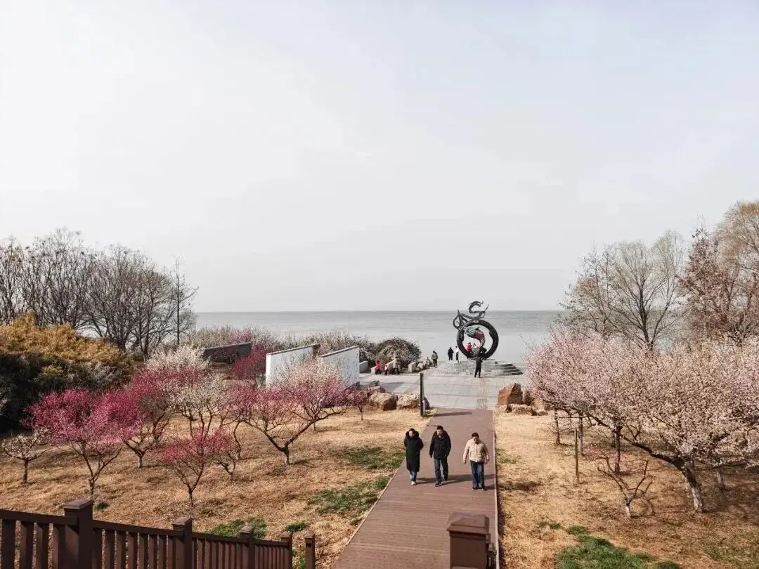 一立方沙子可以砌多少块砖_安利净化器传感器在哪_