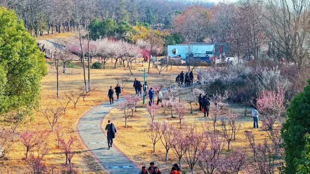 _一立方沙子可以砌多少块砖_安利净化器传感器在哪