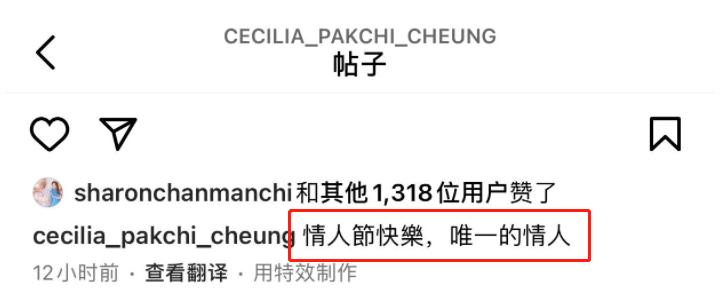 张柏芝情人节晒游玩照!带3个孩子滑雪,15岁儿子长相成熟太帅气_张柏芝情人节晒游玩照!带3个孩子滑雪,15岁儿子长相成熟太帅气_