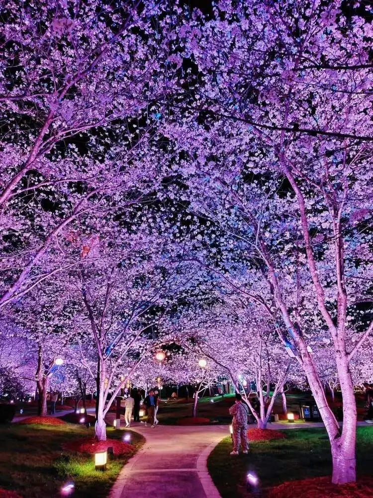 _樱花上海_一起来捉妖星移满资技巧