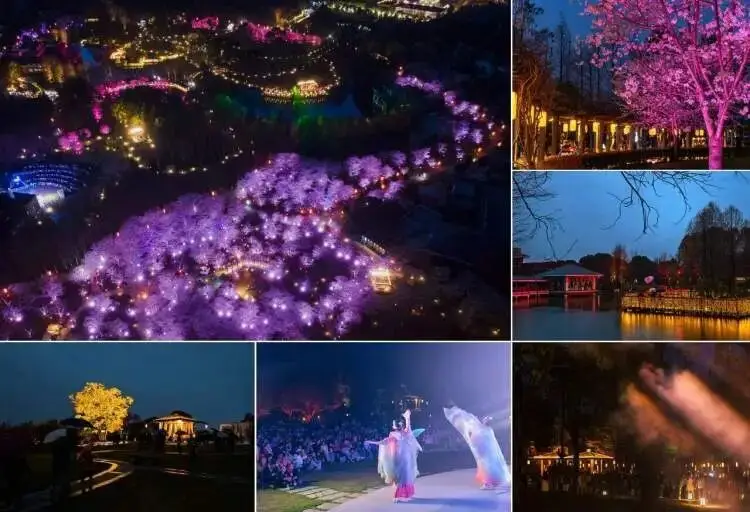 樱花上海__一起来捉妖星移满资技巧