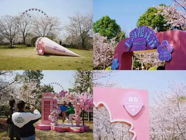 _一起来捉妖星移满资技巧_樱花上海