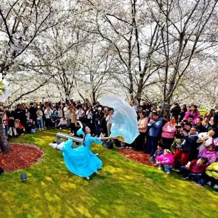 _樱花上海_一起来捉妖星移满资技巧