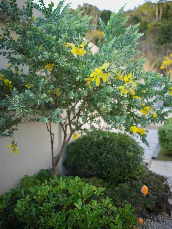 最美迎来季节小院的句子_最美小院宣传美文_