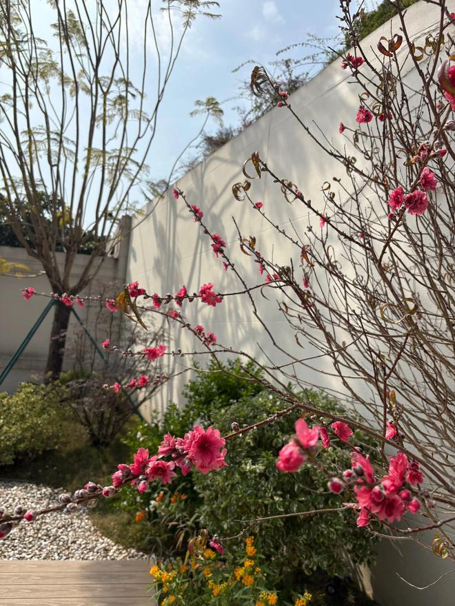 最美小院宣传美文__最美迎来季节小院的句子