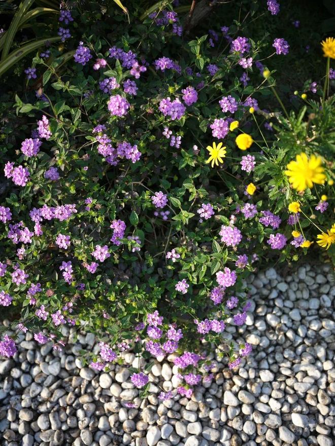 _最美迎来季节小院的句子_最美小院宣传美文