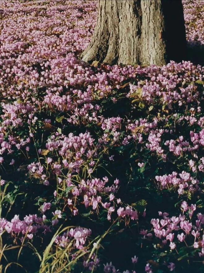 上海宝山医院顾青医生__跨省转档案需要本人吗