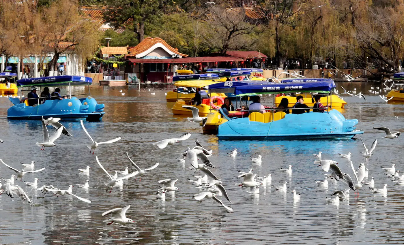 云南汉堡原料__云南话汉堡什么意思