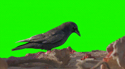 _融入团队英文_高效率的融入团队的素质要求有