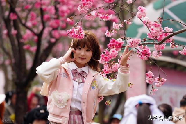 昆明圆通山樱花盛放，一场穿越百年的春日之约，藏着春城浪漫密码