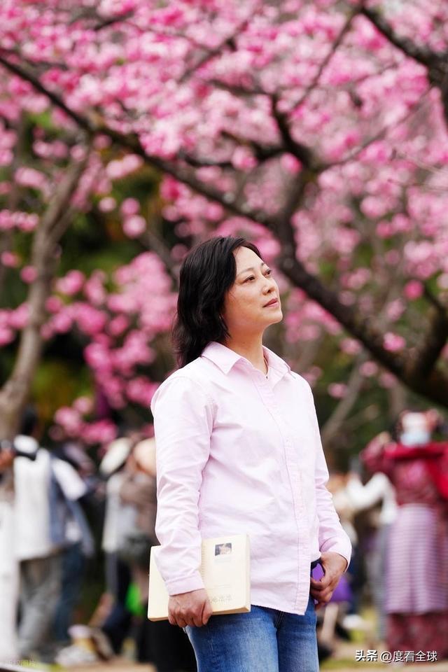 _昆明樱花时间_昆明春天樱花