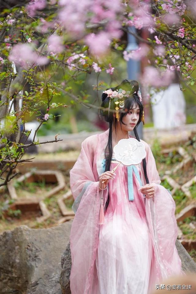 昆明樱花时间_昆明春天樱花_