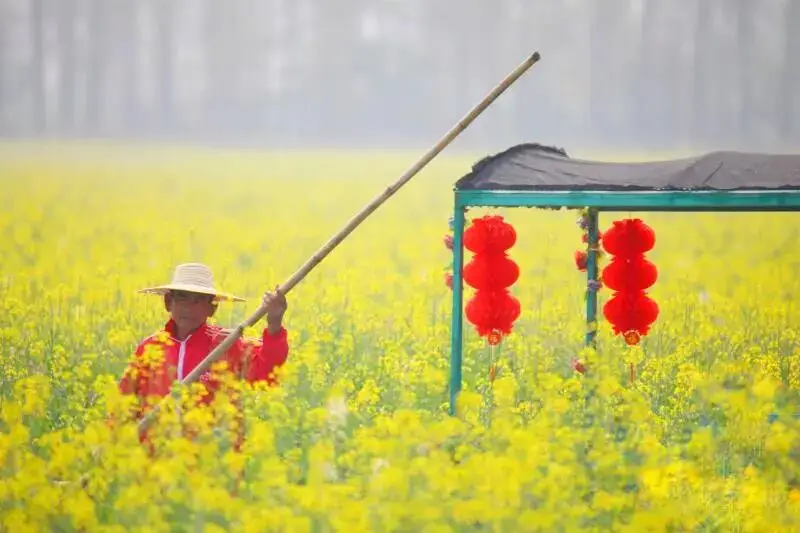 春日偶成的诗意最短__春日诗意及作者简介