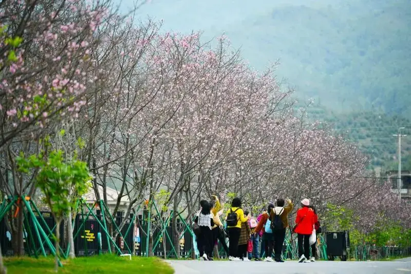 春日偶成的诗意最短_春日诗意及作者简介_