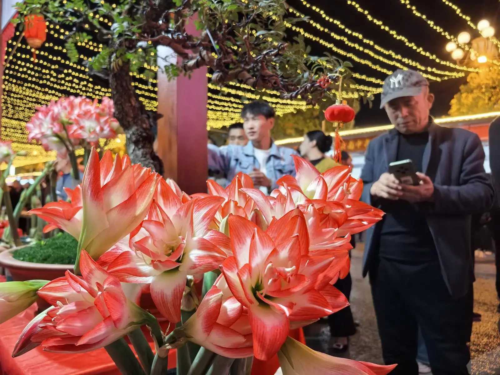 _描写春天迎春花的段落_通海赶花街的由来