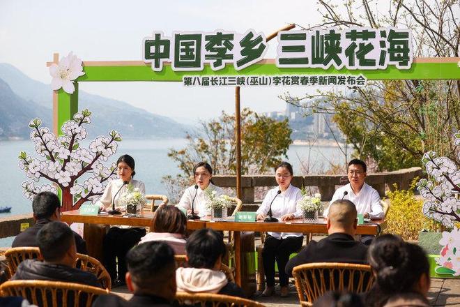 30万亩李花如雪漫三峡！巫山第八届李花赏春季来袭