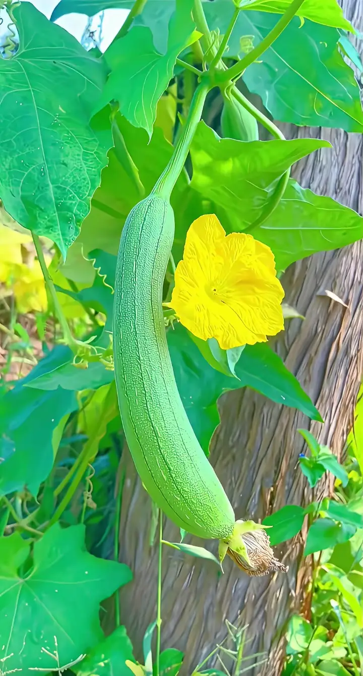_邂逅命运之师人生巨变读后感悟_邂逅命运之师人生巨变