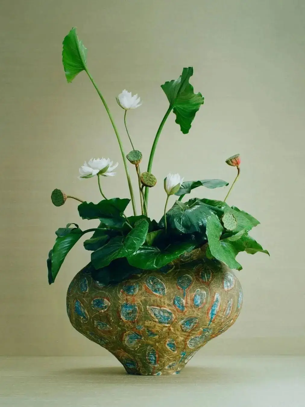 和李昀锐一起漫步迪奥花园__和李昀锐一起漫步迪奥花园