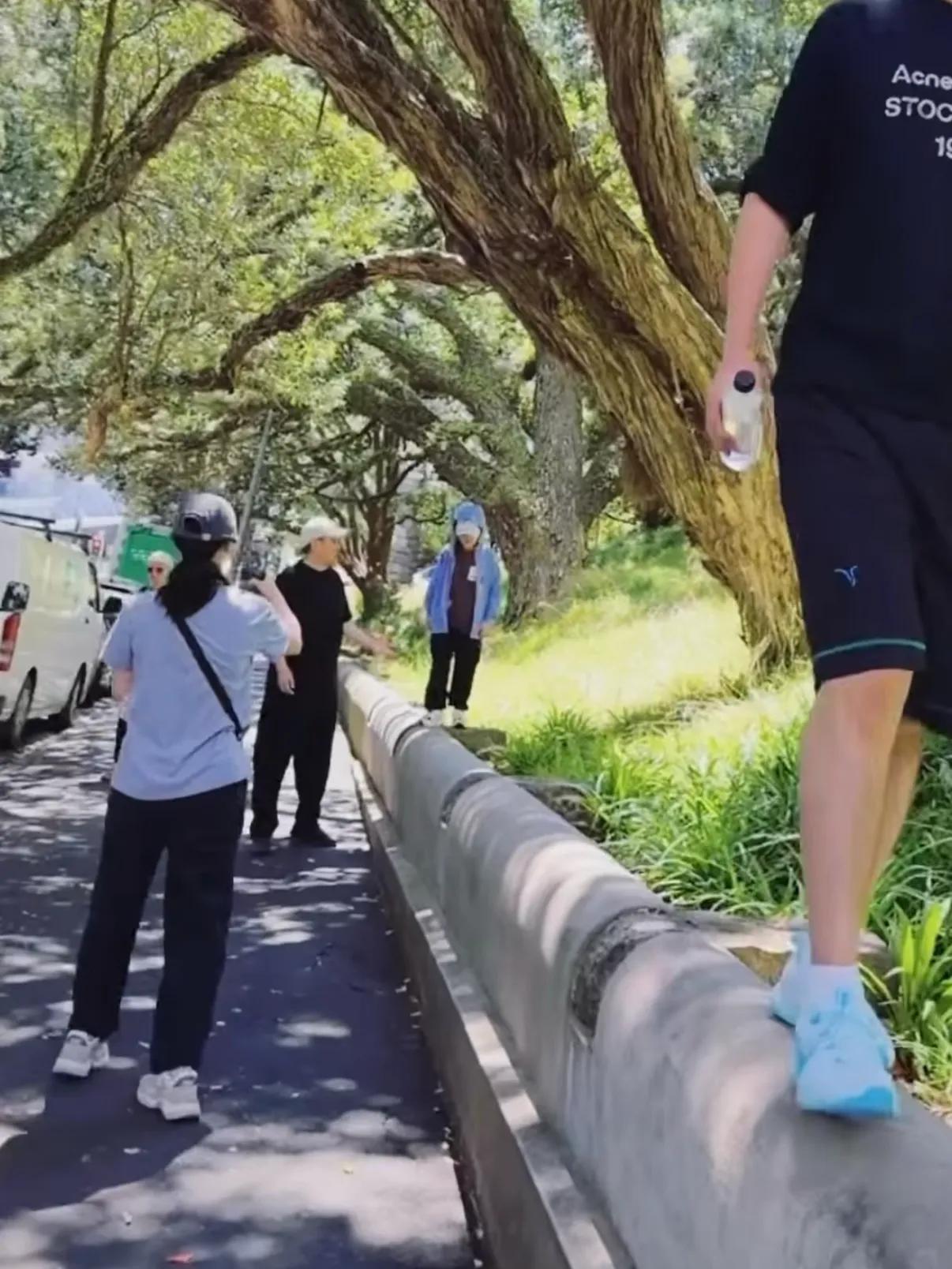 老虎亲近人__老虎亲昵