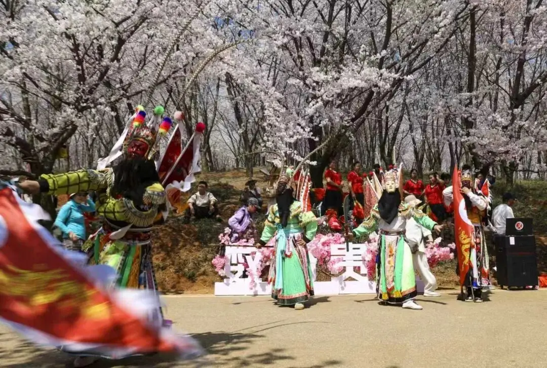 精彩活动多达60余项！贵安樱花季“赏花+”多元玩法焕新来袭_精彩活动多达60余项！贵安樱花季“赏花+”多元玩法焕新来袭_
