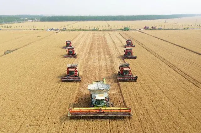 _馒头在河南叫什么_河南的馒头好吃吗