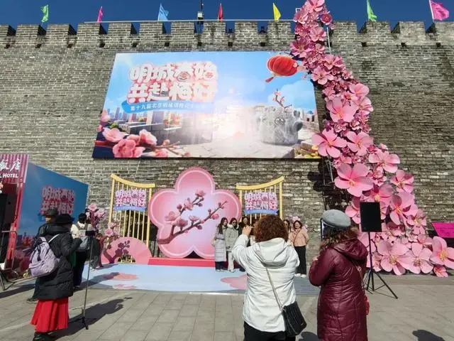 持续一个月！明城墙梅花文化节启幕，逛吃赏玩一站式→