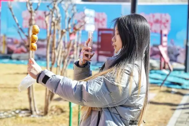 _梅花城垛_古城墙边的梅花说说