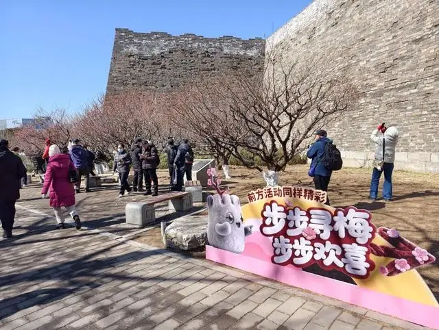 古城墙边的梅花说说__梅花城垛