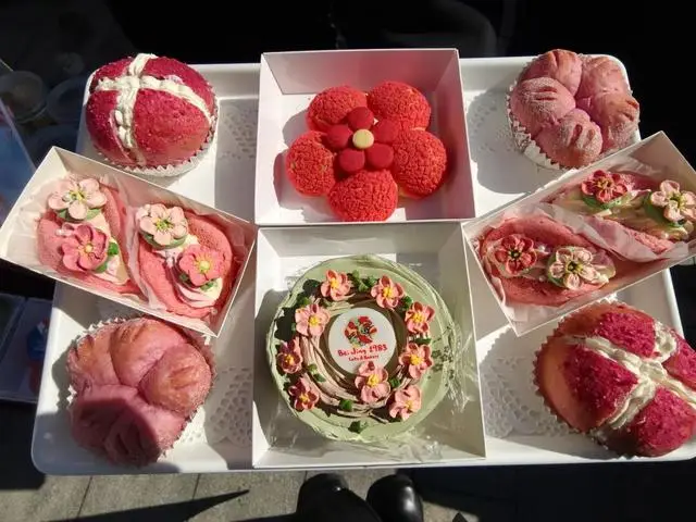 古城墙边的梅花说说__梅花城垛