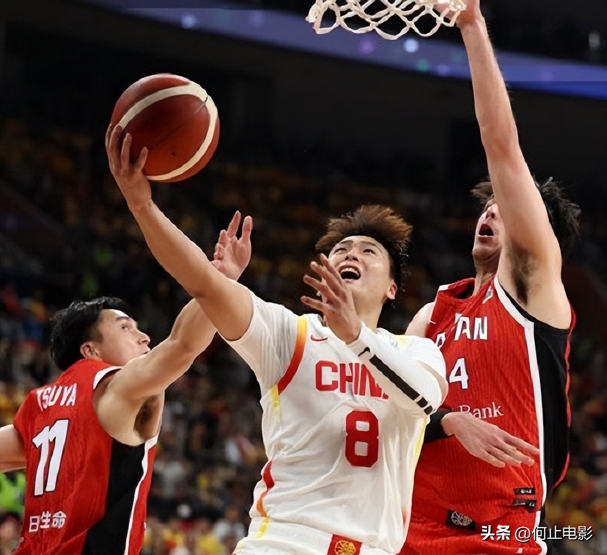 森航男篮_森林狼主帅下课_