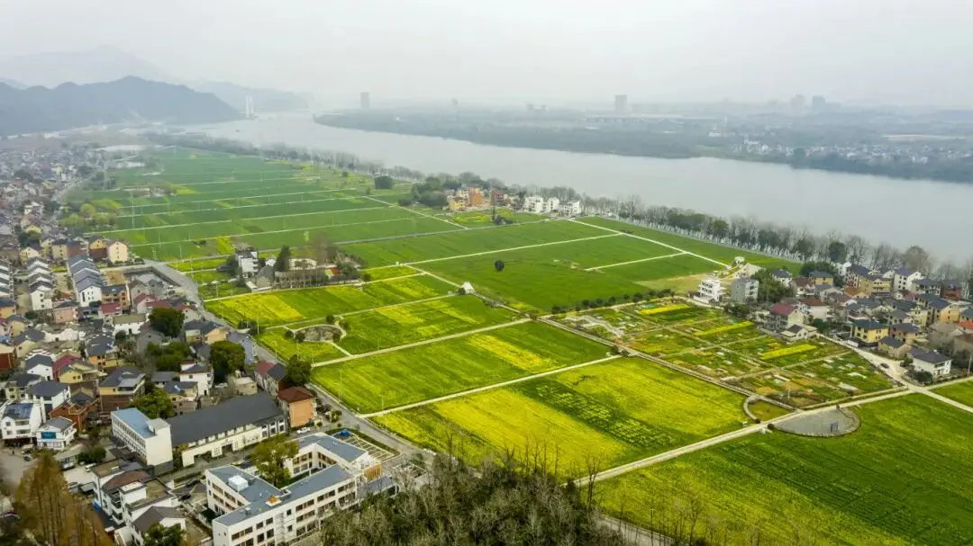 _桐庐踏春好去处_桐庐春天最美的风景图片