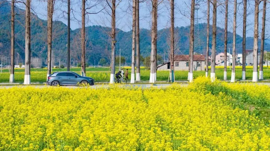_桐庐春天最美的风景图片_桐庐踏春好去处
