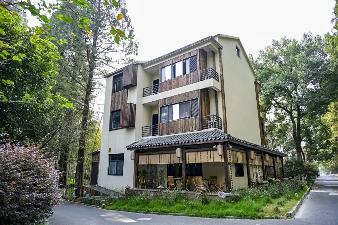 桐庐踏春好去处__桐庐春天最美的风景图片