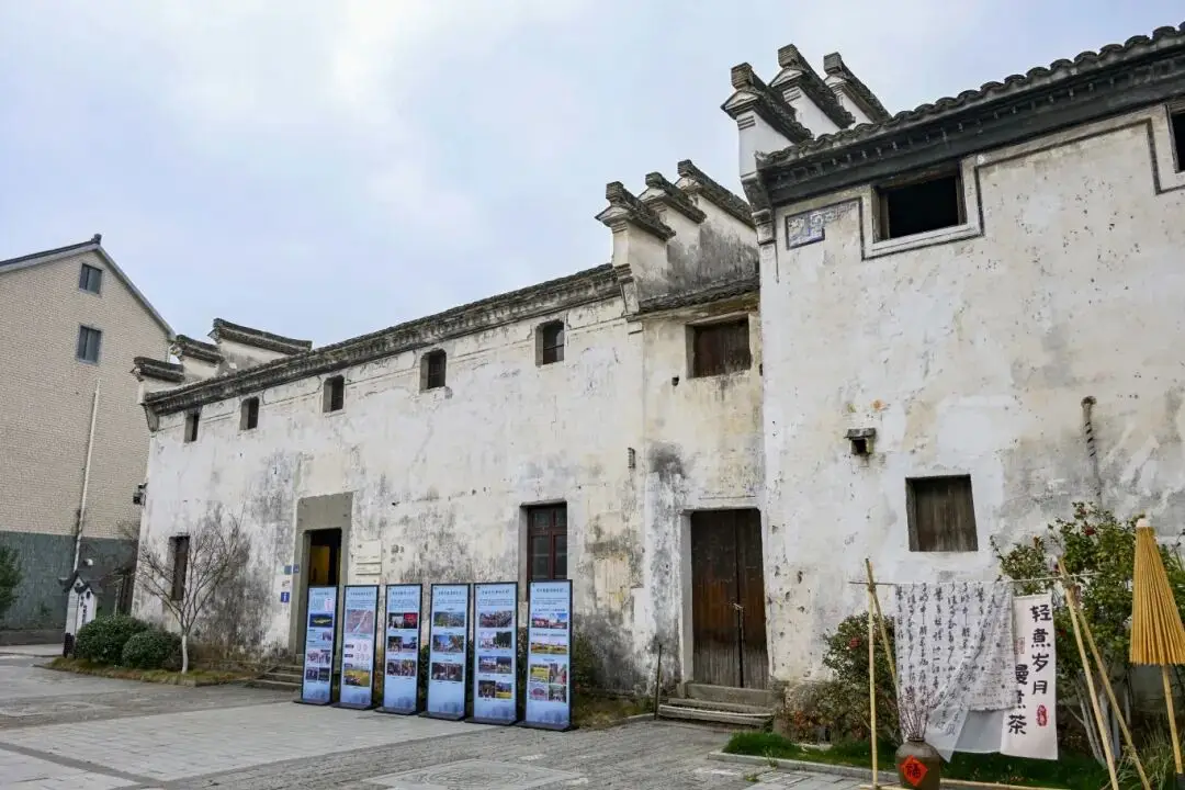 桐庐踏春好去处__桐庐春天最美的风景图片