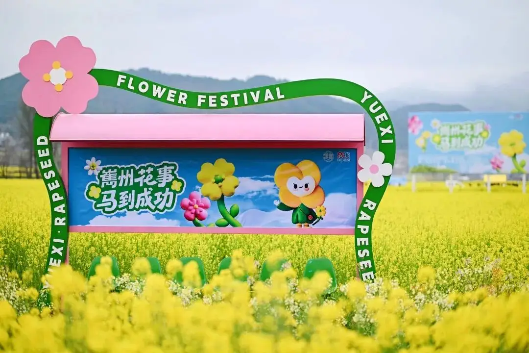 越西：金色花海绘春色 嶲州盛宴迎客来