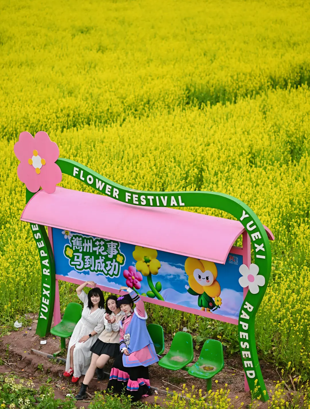 严州中学第七届五月花海_金色花海文化旅游节_