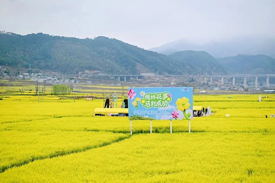 _金色花海文化旅游节_严州中学第七届五月花海