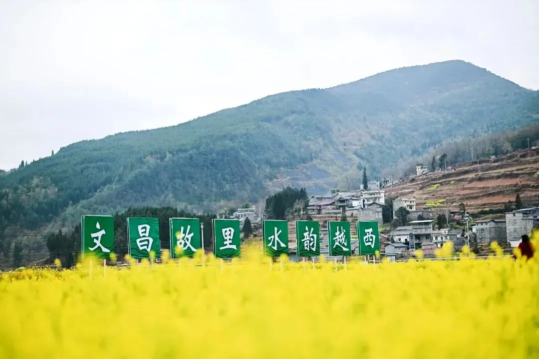 严州中学第七届五月花海_金色花海文化旅游节_