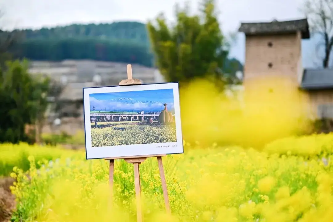 _金色花海文化旅游节_严州中学第七届五月花海