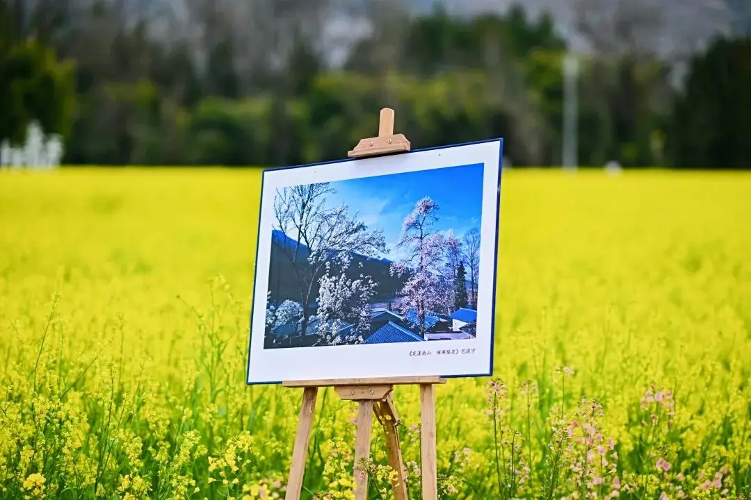 _严州中学第七届五月花海_金色花海文化旅游节