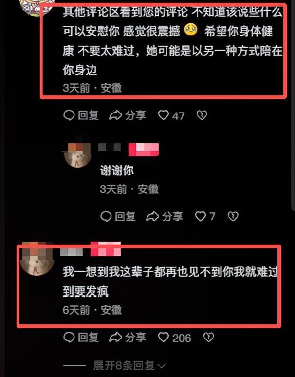 _安徽男子跪行_女子跪求男友原谅