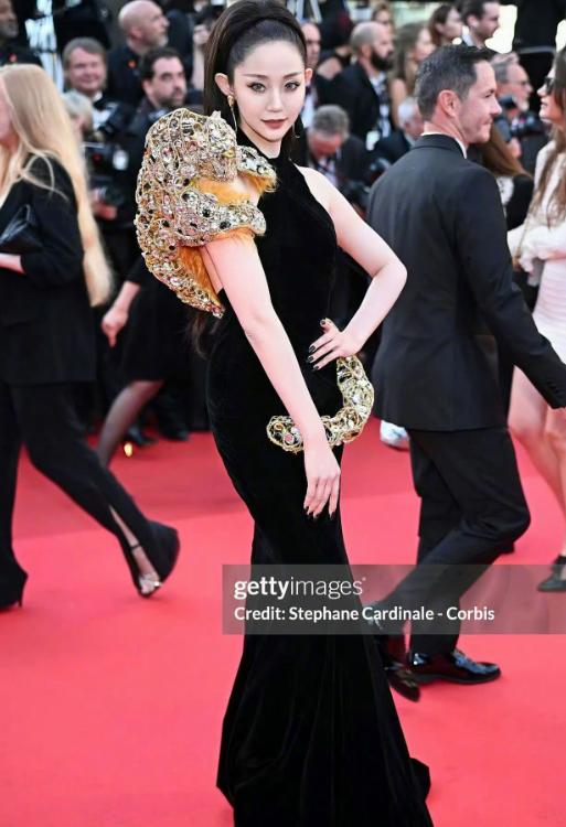 _戛纳红毯是什么意思_戛纳红毯百度百科