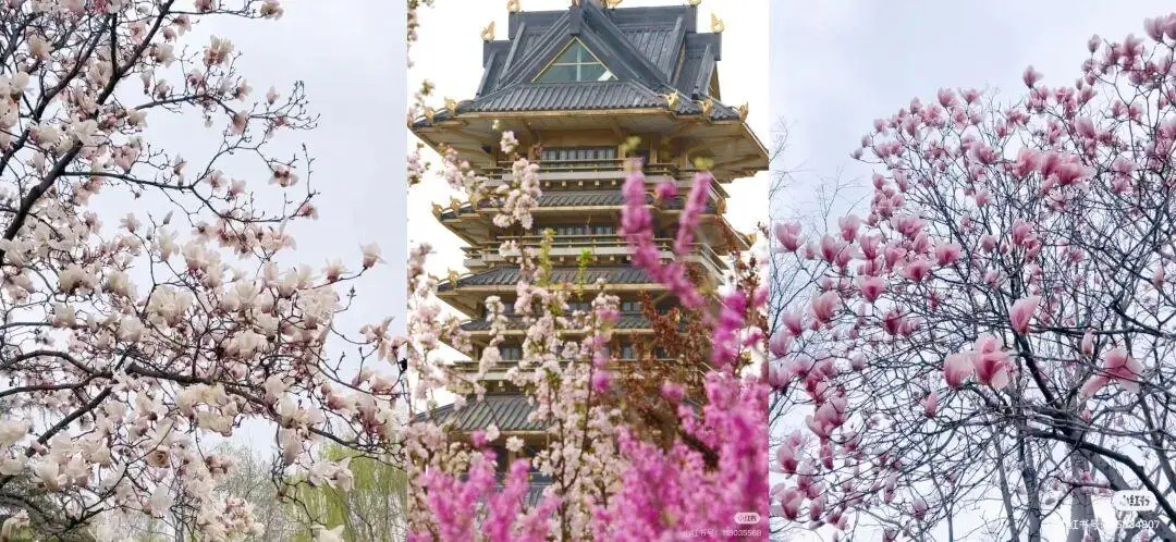 春日旅怀__春日治愈系照片