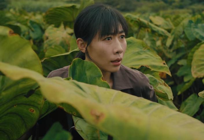 才播5集热度破4000，任素汐令观众成功入坑，刑侦缉毒剧又出黑马__才播5集热度破4000，任素汐令观众成功入坑，刑侦缉毒剧又出黑马