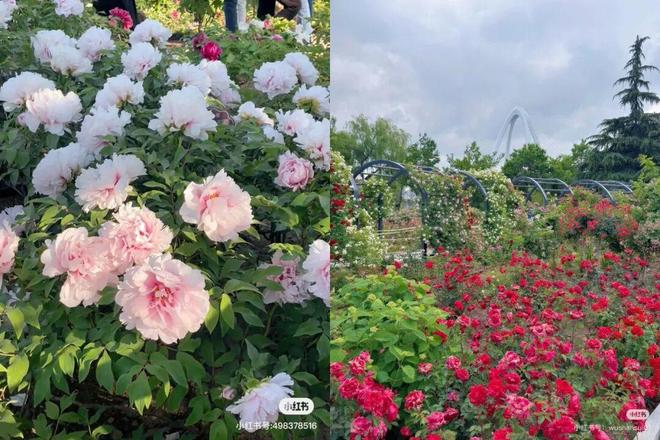 _春日治愈系照片_春日旅怀