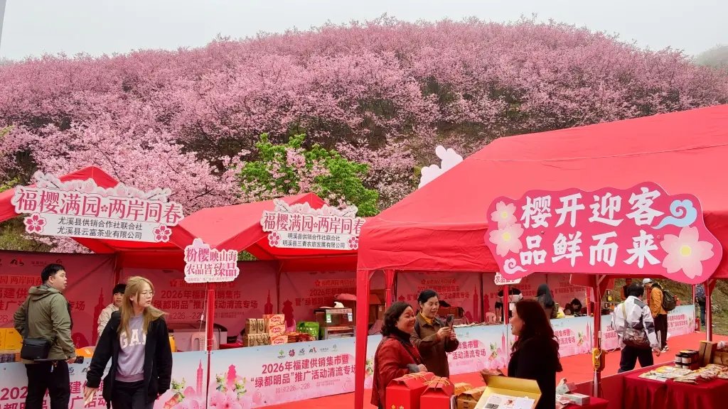 _成都文旅集团旅游资源整合_樱花标本