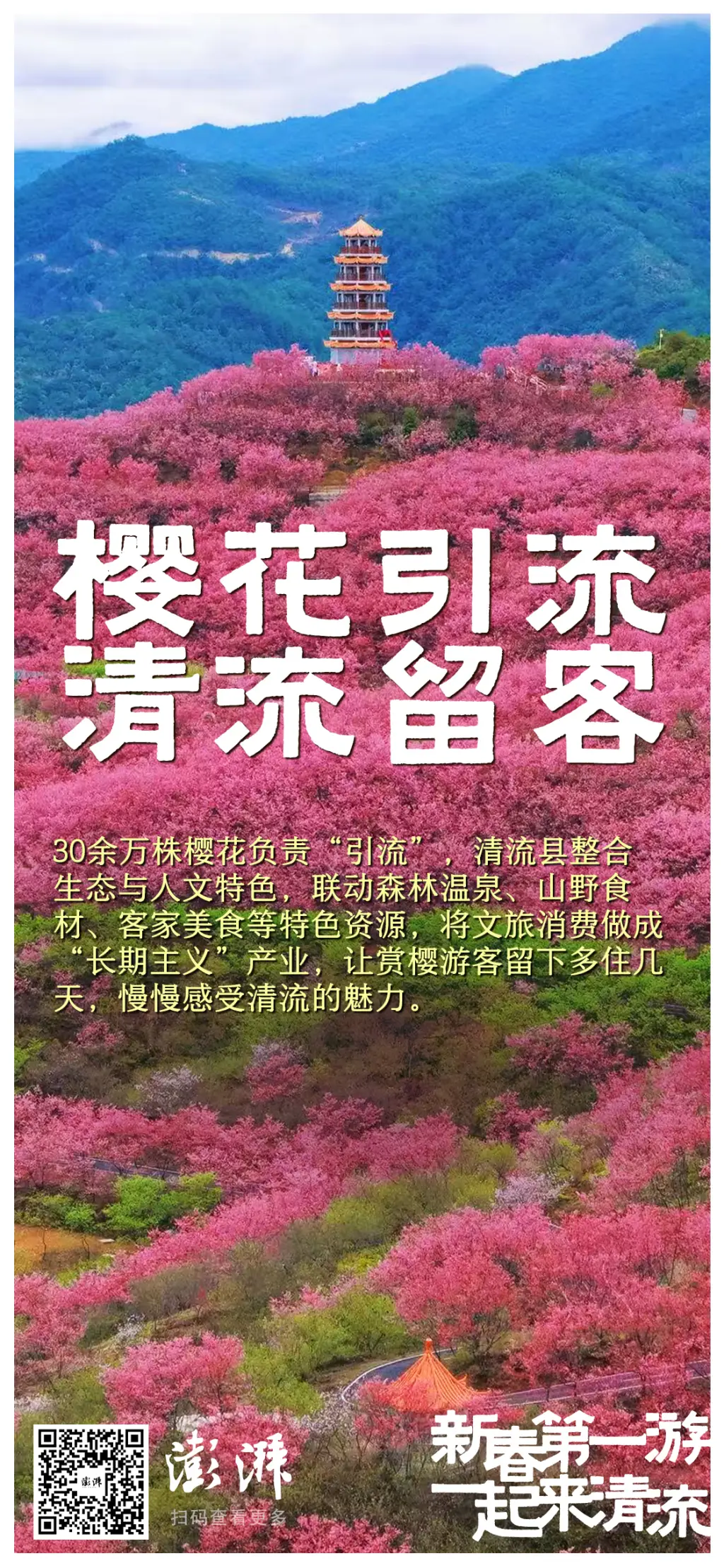 _樱花标本_成都文旅集团旅游资源整合